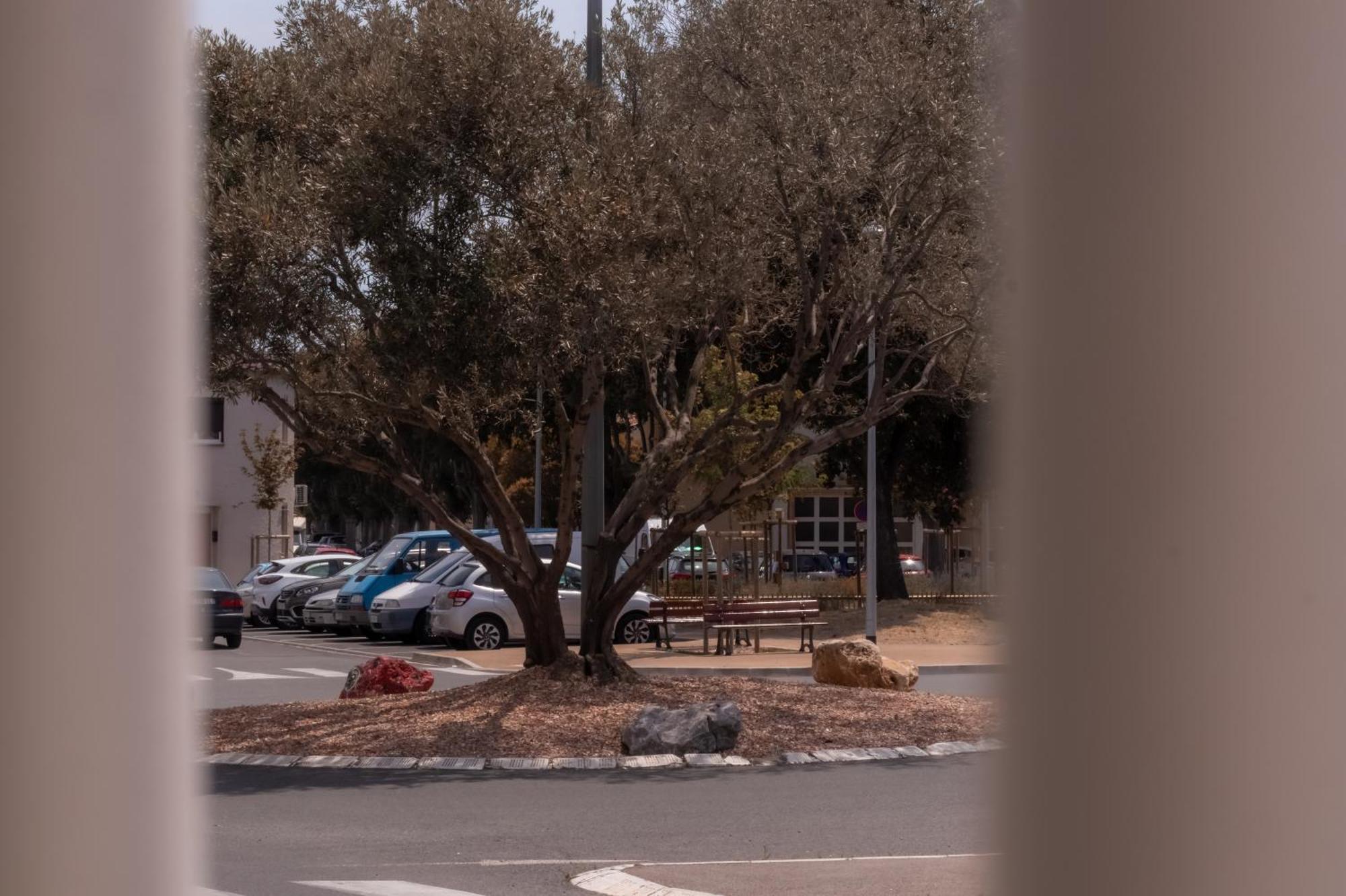Le Boho Chic Studio Cosy Narbonne Bagian luar foto
